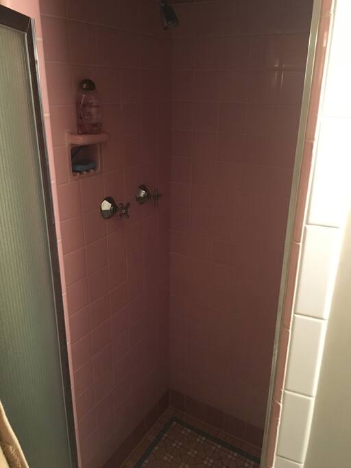 restroom also includes a walk-in shower