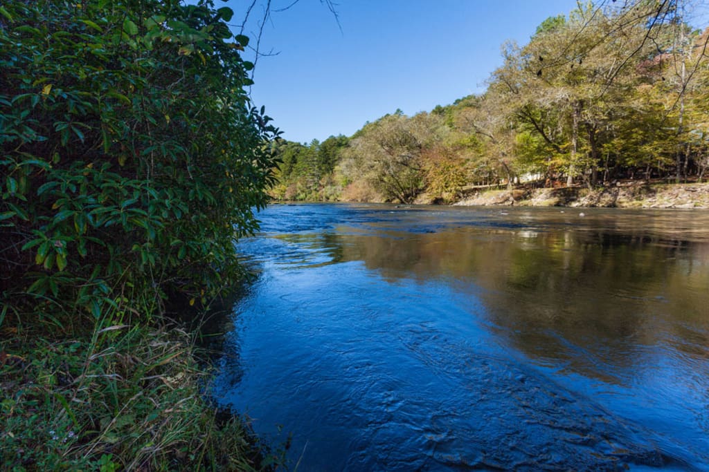 River View from River Bank