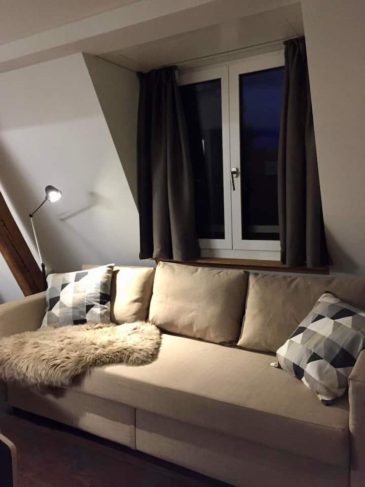Junior Suite At The Trend Area Of Zürich (5.2) - Zürich
