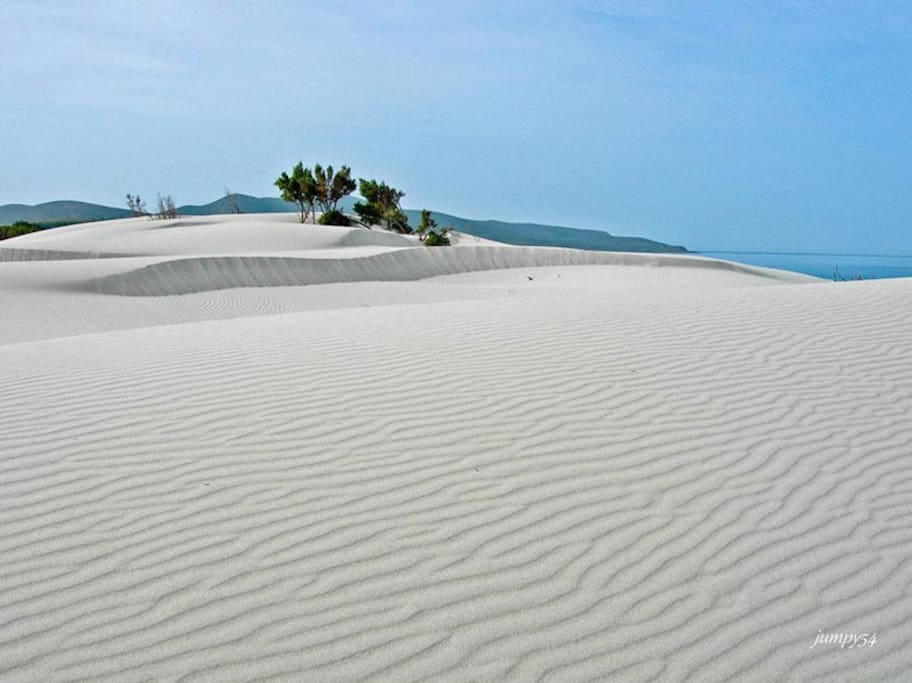 Dune di Teulada "Is Arenas Biancas"