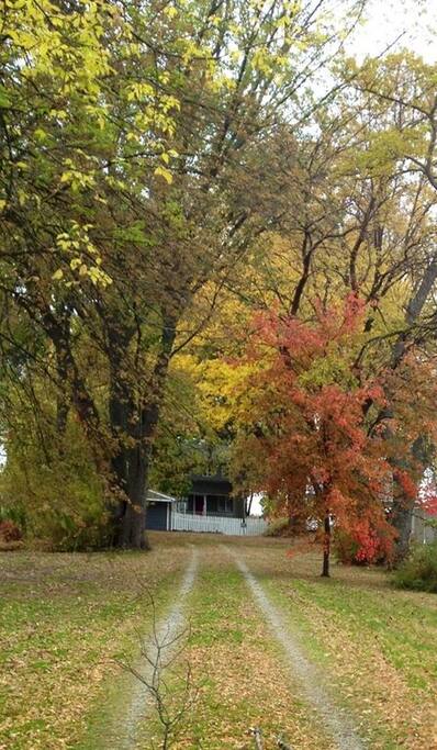 Long Private Driveway