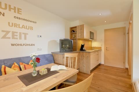 Popular Airbnb listing: Studio in Hippach in Zillertal in Hippach