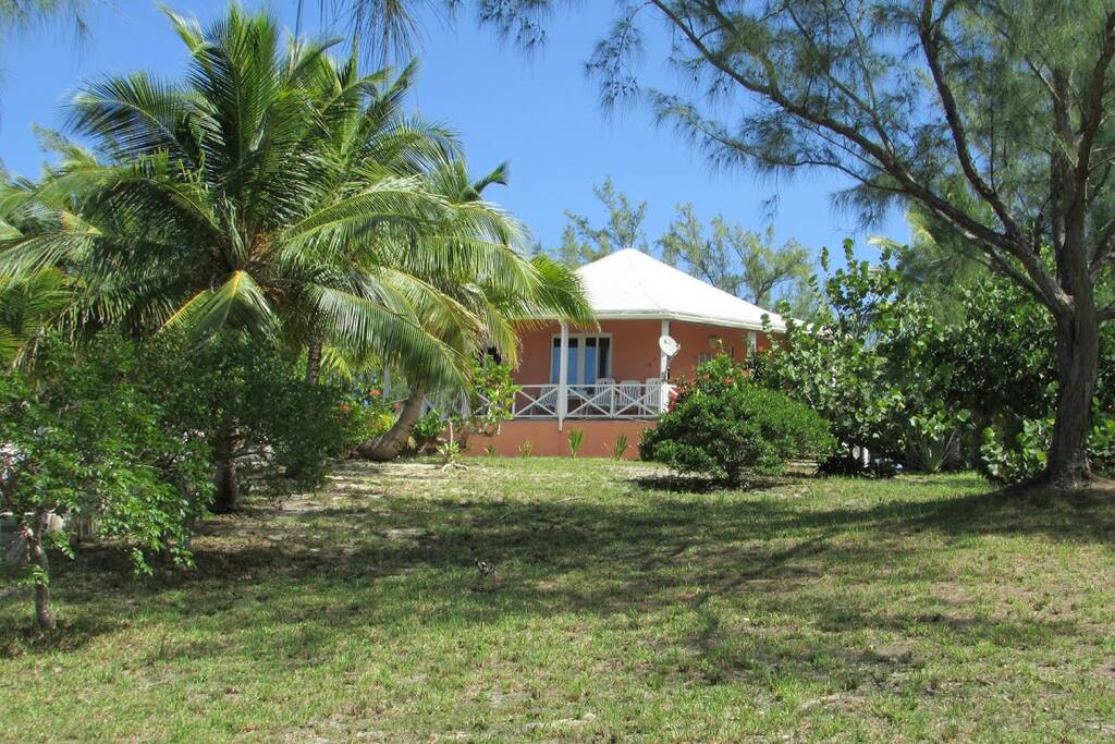 View of Cottage from the gardens