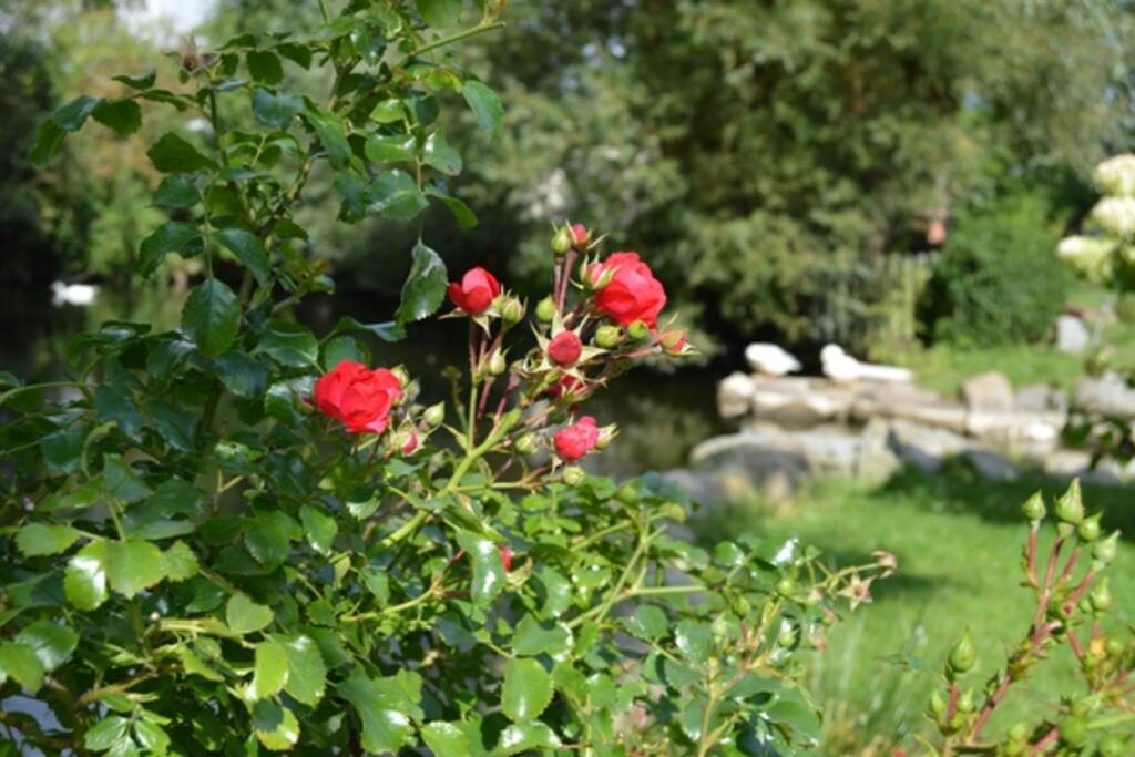 Urlaub mit Herz und Seele