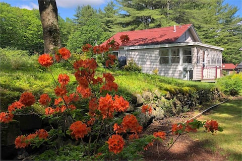 Little Loon Cottage and Beach ON Webster Lake