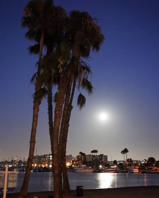 Mothers beach/Marina, 1 block/across the street from location