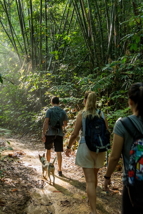 Show full-screen, host-provided image