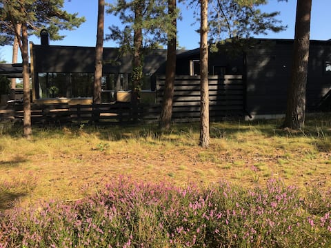 Villa 400 m from Kämpingestranden