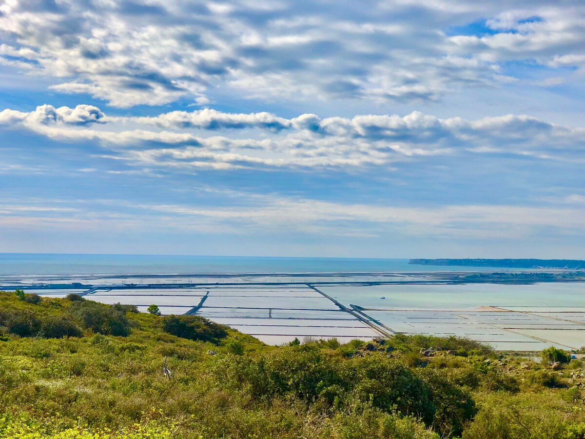 A panoramic view captures the vast coastal lagoon of La Palme, featuring tranquil waters bordered by salt flats. The varying shades of blue and green create a serene backdrop against a softly cloudy sky, with hints of distant coastline visible in the background.