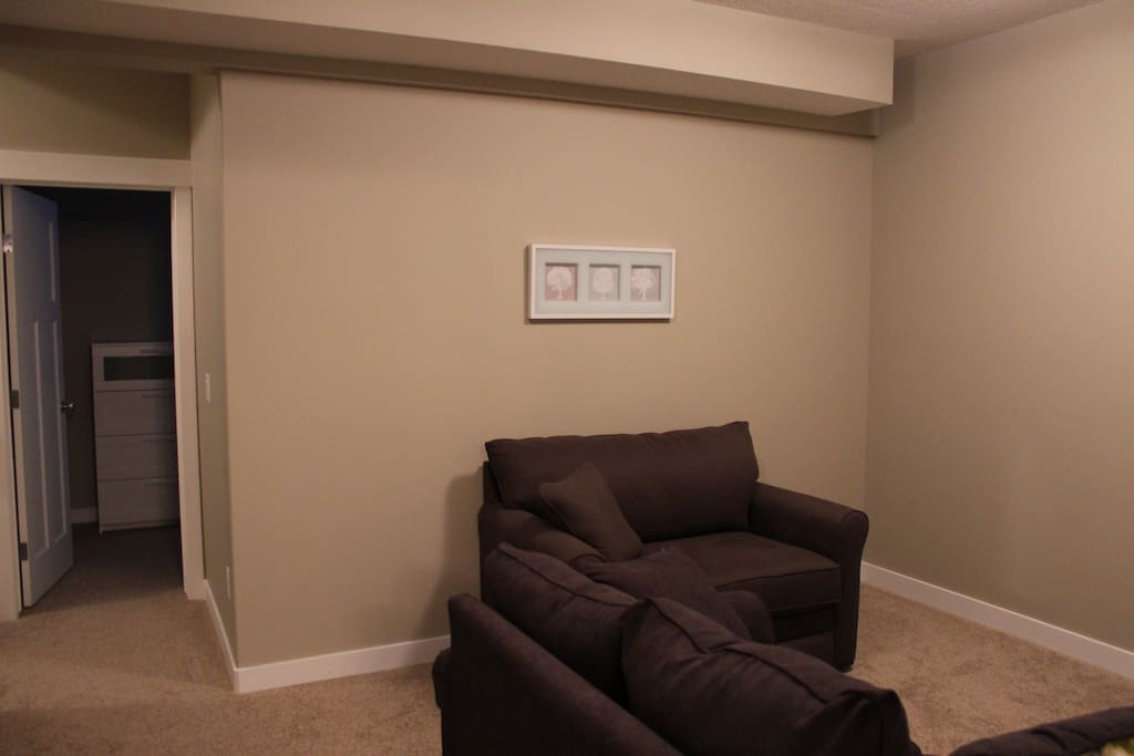Basement living room