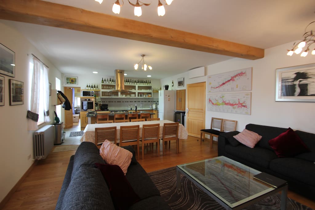 Spacious living area with kitchen at one end and comfy seats at the other