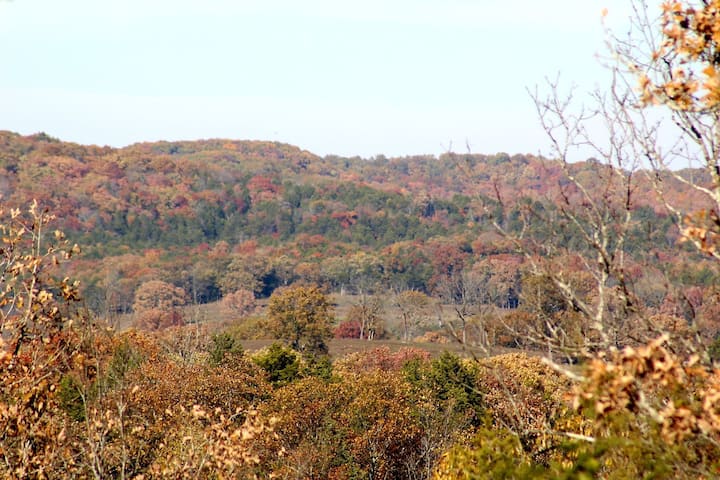 Pet Friendly Cabins In The Ozarks