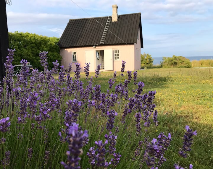 Lovely Ljugarn Sjöviksvägen Cabins for Rent in Ljugarn, Gotlands län