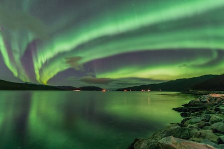 Central room with a view. Pick-up if available.