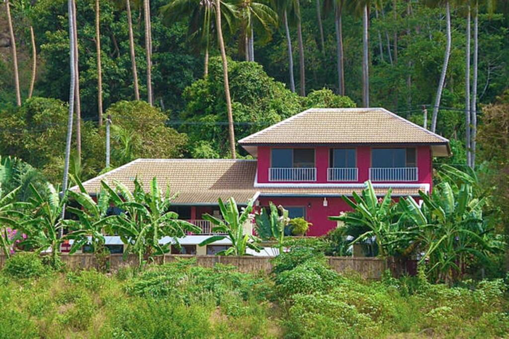 Samui Pink House