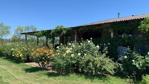 Country house in the valley of the sun, Quillón, Ñuble