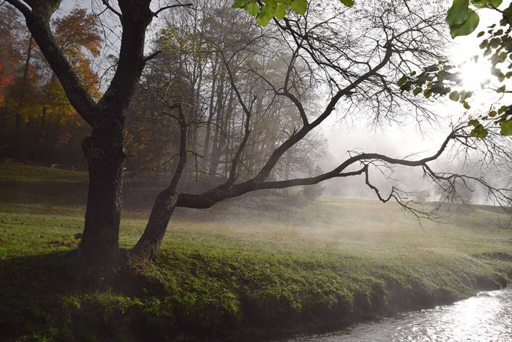 Stream side swing