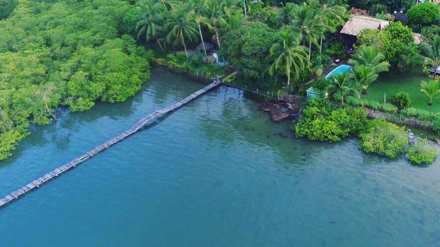 An aerial view showcases the lush greenery surrounding the property, with a wooden walkway leading over the water. The tranquil Rio de Contas is visible, bordered by vibrant mangroves and palm trees, offering a serene and natural setting.