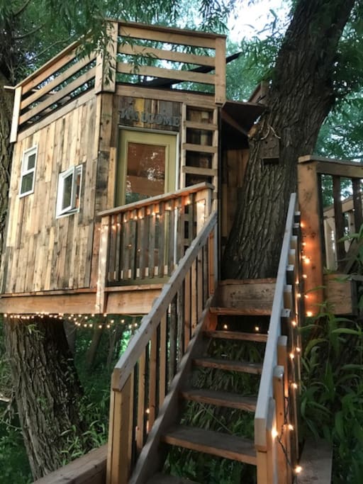 Tree house with stairs, deck above with hammock .