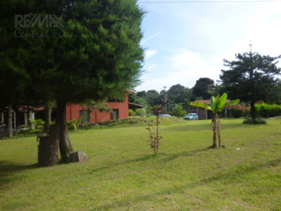 gardens with trees surrounding the whole property