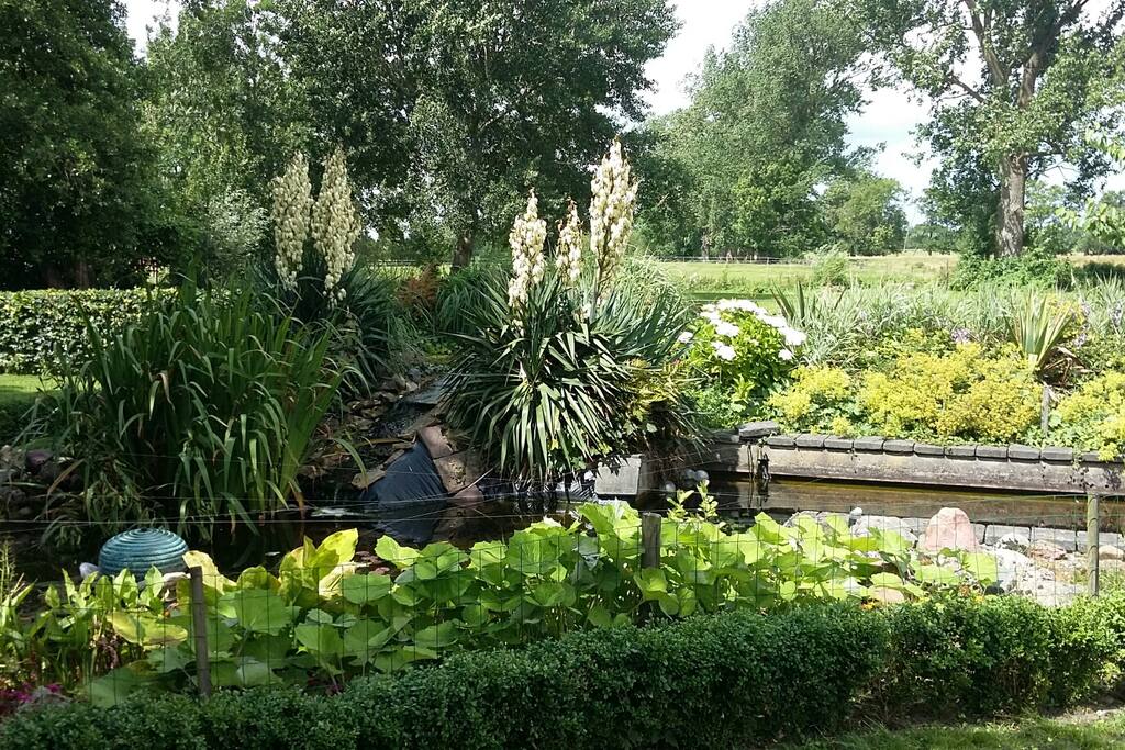 Blik op de tuin