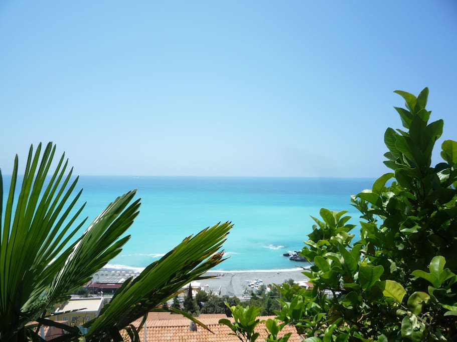 View from garden