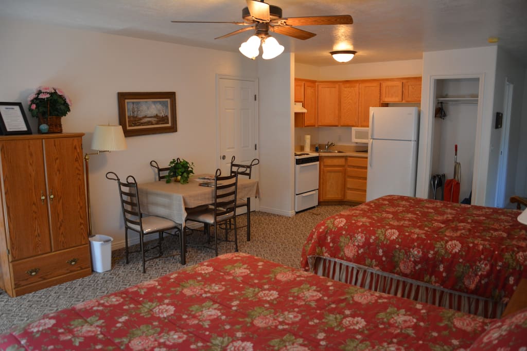 1 room studio with dining
