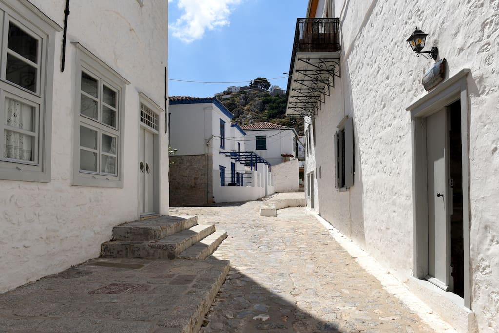 Easy, unobstructed access to the house (no exterior steps)