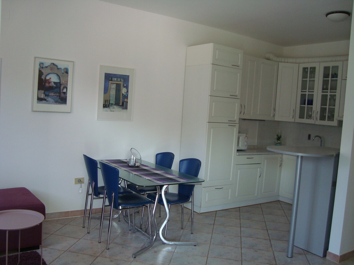 Apartment Carmen
