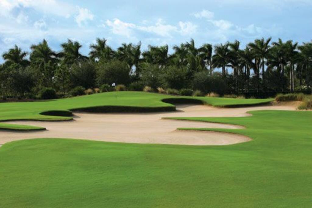 Golf Nearby