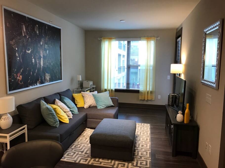 Living room area, couch converts to a full sized bed for extra guests