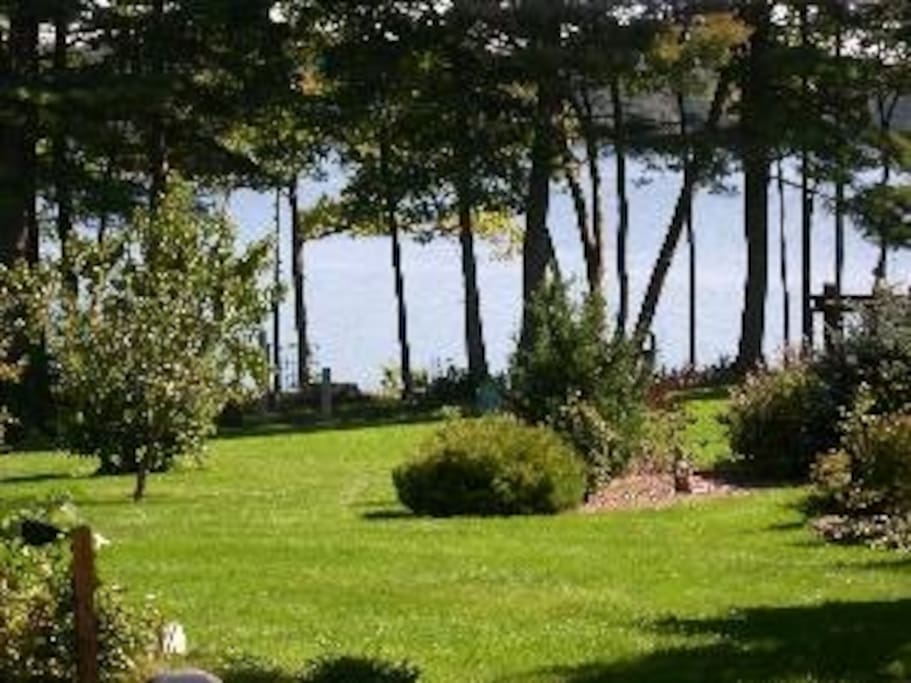 Front Lawn Gardens