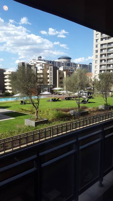 Swimming pool and garden