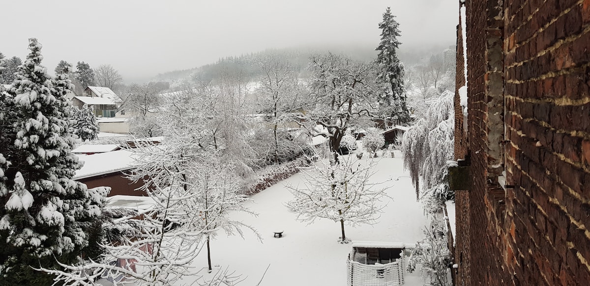 A serene winter scene presents a snow-covered garden, with trees blanketed in white. Surrounding houses and distant hills are softly obscured by falling snow, creating a peaceful, frosty atmosphere. The garden includes a small table and is bordered by shrubs and wooden fences.