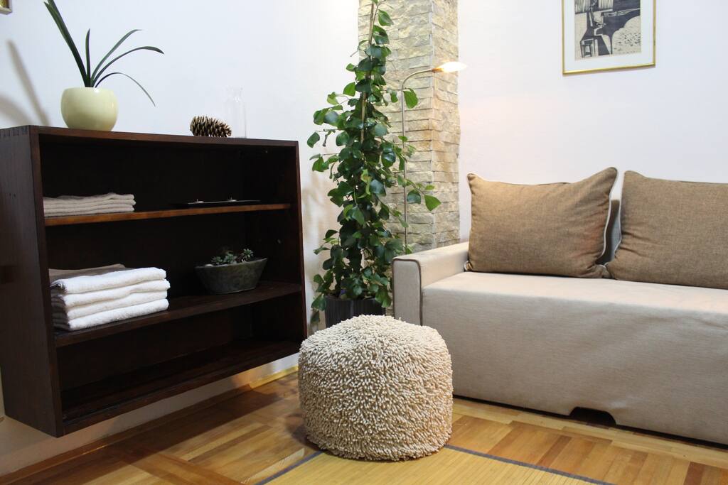 Downtown studio apartment