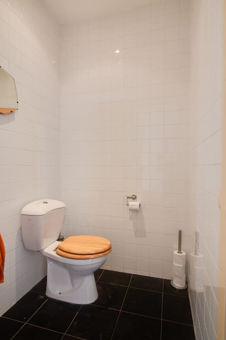 Toilet with handbasin