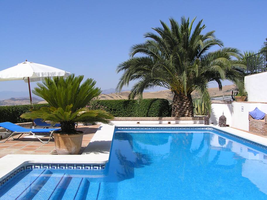 Unser Pool zum Entspannen