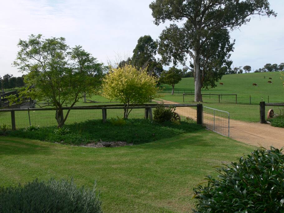 View from the front verandah