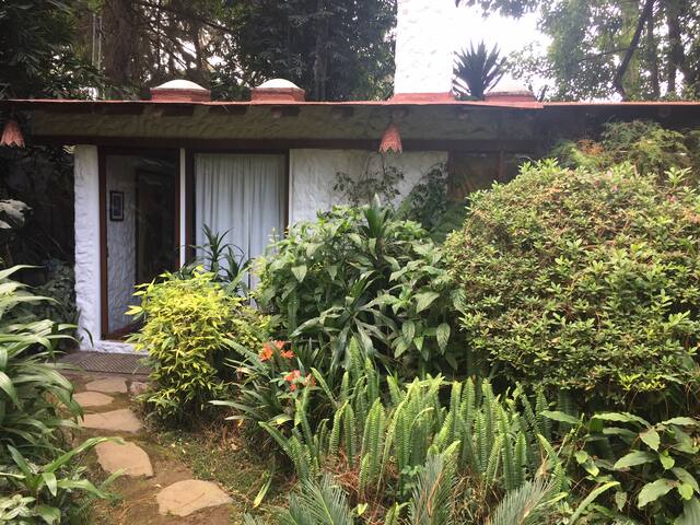 Cozy Cabin in the Woods