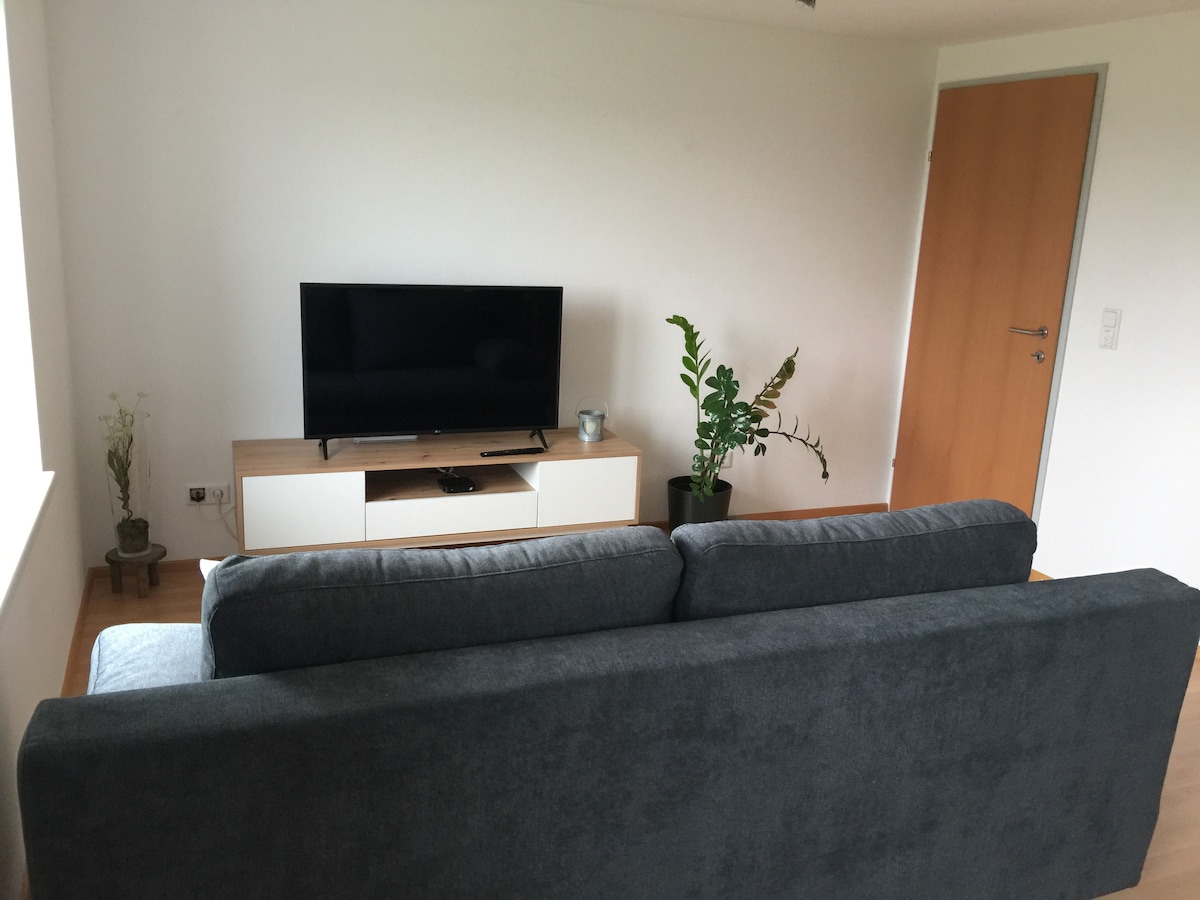 A comfortable seating area features a dark gray sofa facing a wall-mounted television. A light wooden media console holds additional decor. A green indoor plant adds a touch of nature, positioned beside the console. Natural light enters through a nearby window.