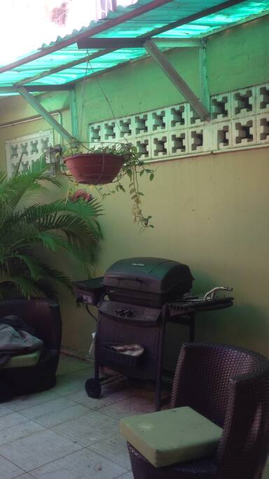 Barbecue back patio
