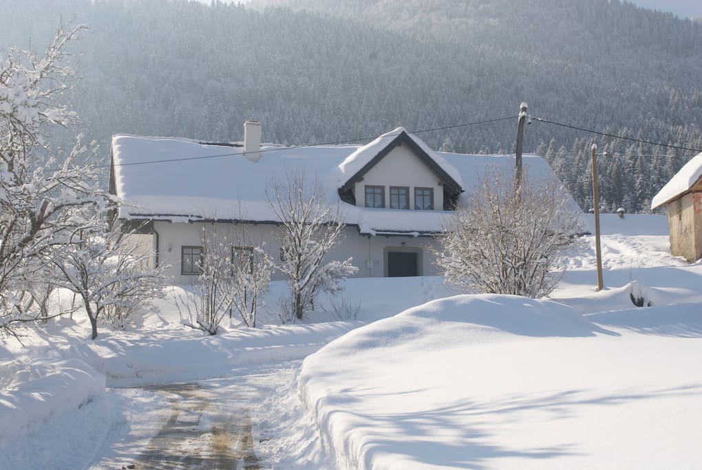 The house in winter
