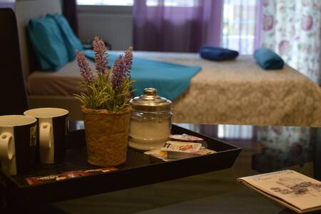 Cute studio with balcony