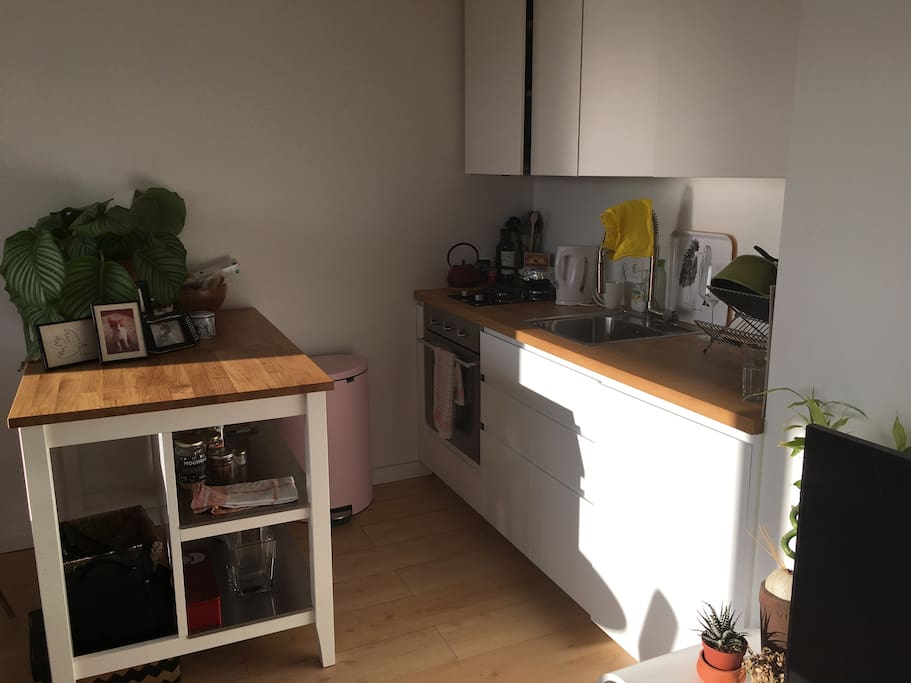 open kitchen with all suppliances