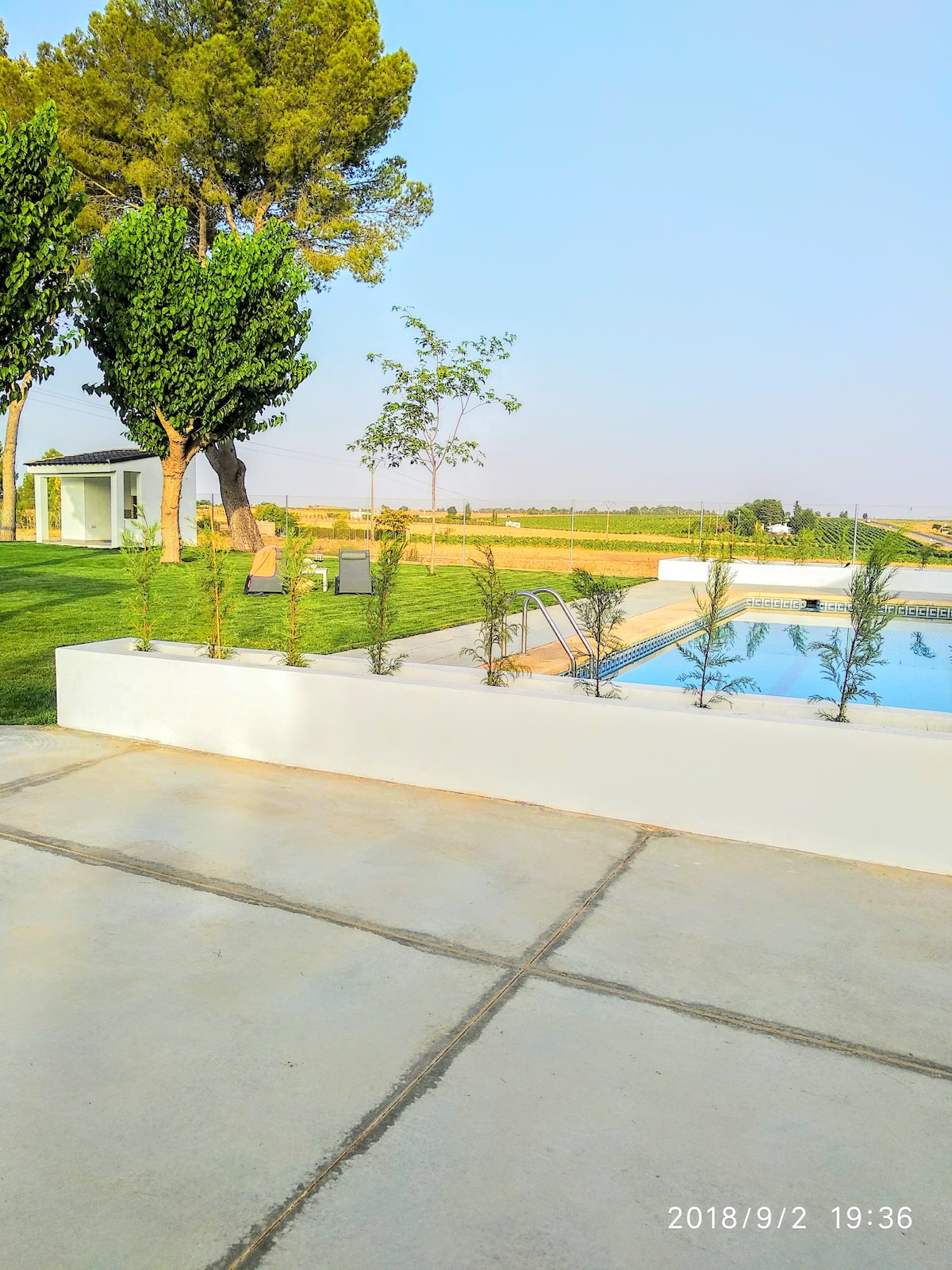 A spacious outdoor area is depicted, featuring a clear swimming pool bordered by landscaped greenery. Lush trees provide shade, and a small grassy area is visible nearby. A concrete patio leads to a poolside relaxation space, ideal for outdoor enjoyment.