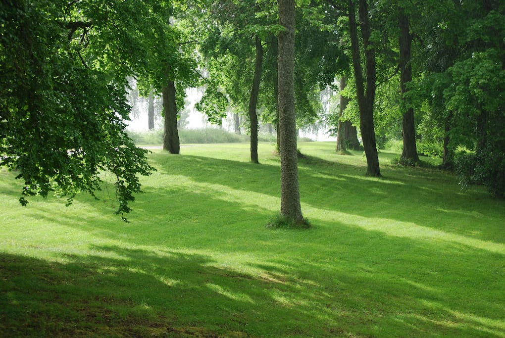 Park