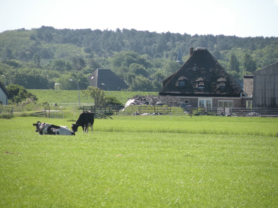 Onze boerderij 'Camperhoeve'