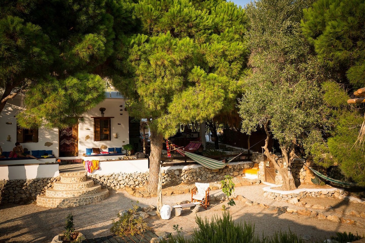 The traditional house, surrounded by tall trees, features a stone pathway leading to its entrance. Cozy seating areas are positioned under shaded areas. A hammock is suspended between two trees, inviting relaxation in the natural setting.