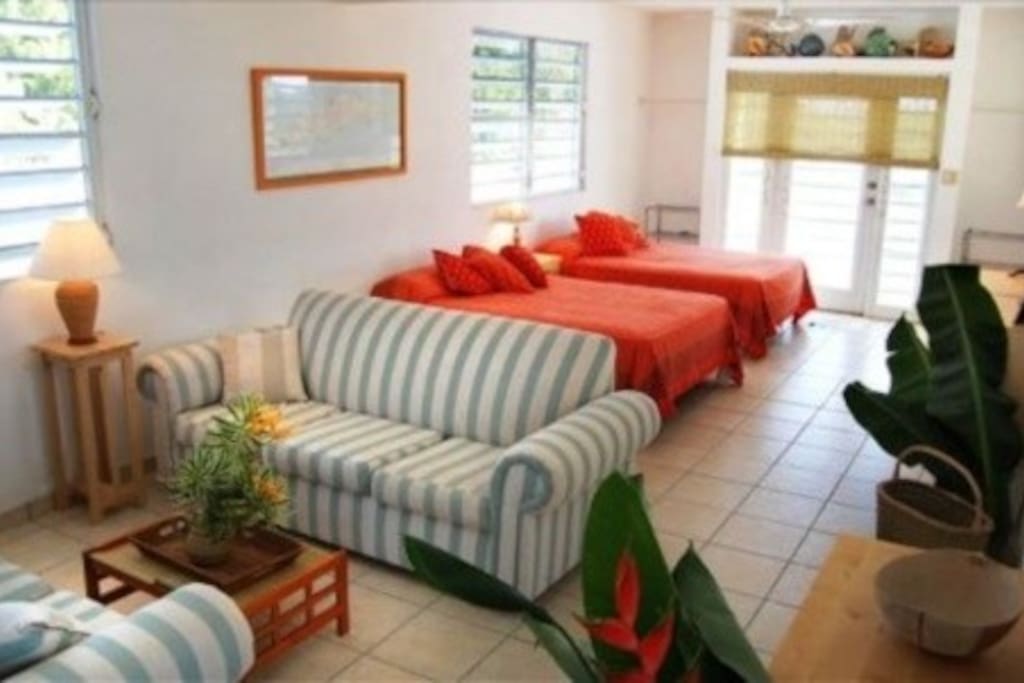 Living room / bedroom area of the apartment.