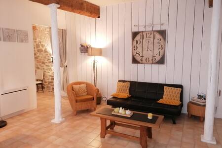 Bel appartement avec cour Centre Ville parking été